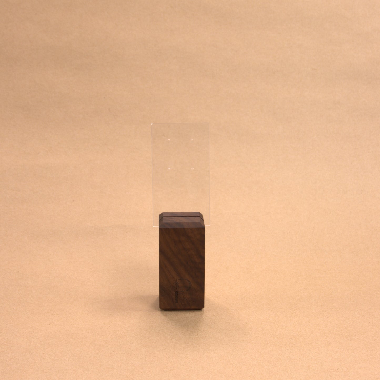 Acrylic Earring Stand